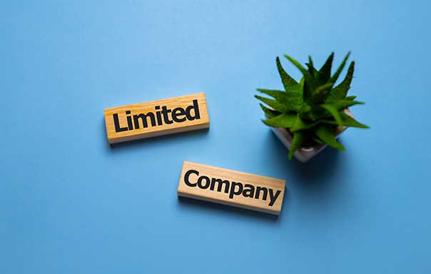 Limited Company